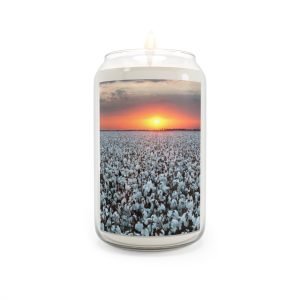 Cotton Field Sunset Scented Candle - Relaxing Aromatherapy Decor for Home