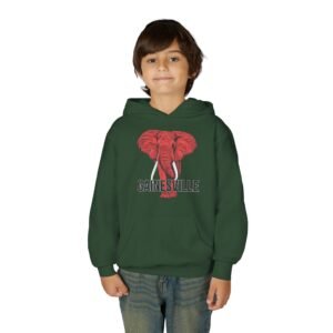 Gainesville Red Elephant - Youth Hoodie - Image 15