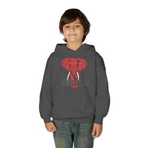Gainesville Red Elephant - Youth Hoodie - Image 19